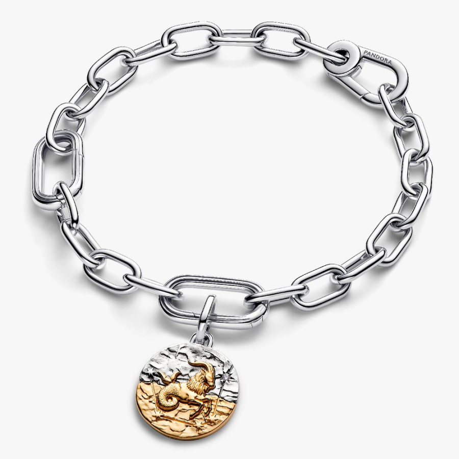 pingente-medalhao-do-zodiaco-de-capricornio-764987c01