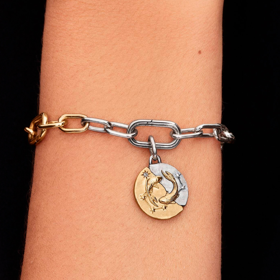 pisces-zodiac-medallion-charm-764991c01 pisces-zodiac-medallion-charm-764991c01