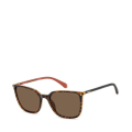086/SP-HAVANA/BROWN