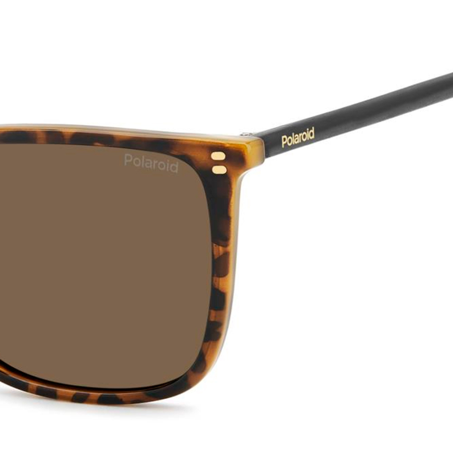 lunettes-de-soleil-pld-4209-s-x lunettes-de-soleil-pld-4209-s-x
