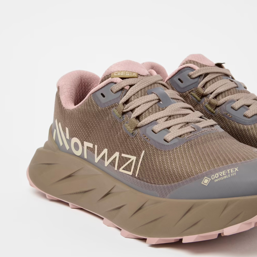 chaussure-cadi-gtx chaussure-cadi-gtx