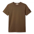 LI1-OLIVE NIGHT