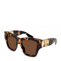 003-HAVANA-HAVANA-BROWN