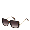 086/3X-HAVANA/BURGUNDY SHADED