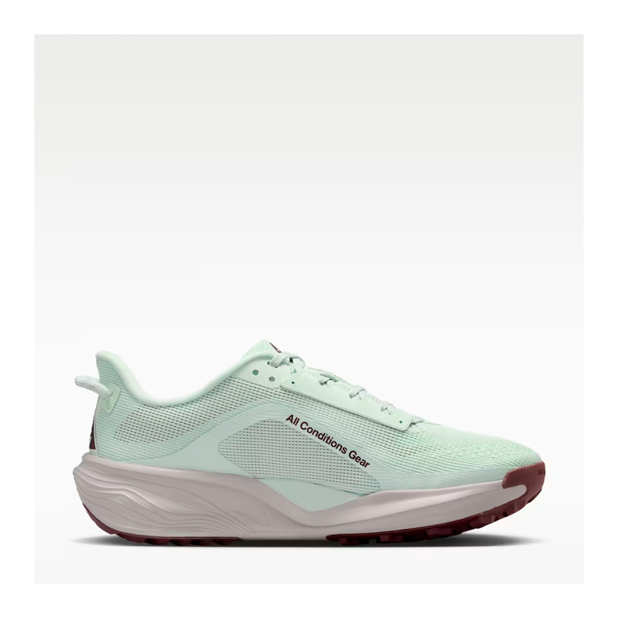 acg-pegasus-trail-shoe