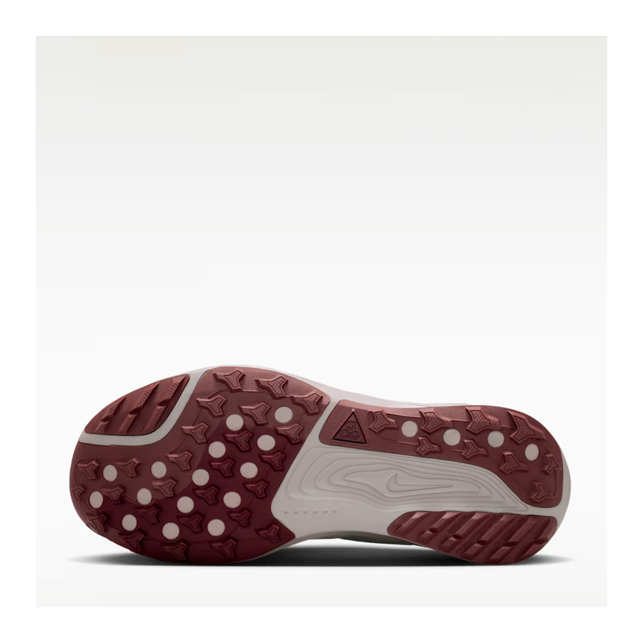 acg-pegasus-trail-shoe