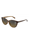 002-HCL/SHINY DARK HAVANA