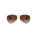 001/13-BROWN DARK